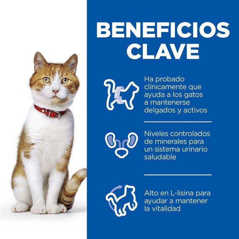 Hill's Science Plan Sterilised Adult Pollo pienso para gatos, , large image number null