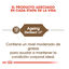 2 kg Royal Canin Ageing 12+ Sterilised pienso para gatos, , large indicador imagen numero 6