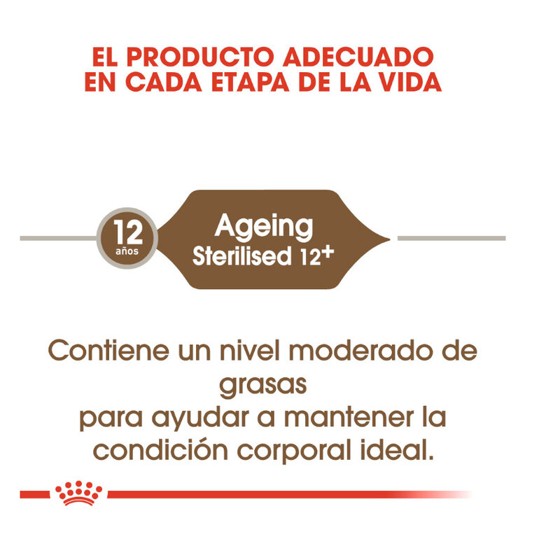 2 kg Royal Canin Ageing 12+ Sterilised pienso para gatos,  Imagen numero 6 2 kg Royal Canin Ageing 12+ Sterilised pienso para gatos, , large Imagen numero 6