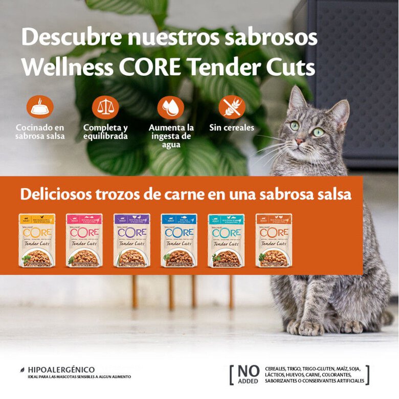 85 g Wellness Core Tender Cuts Pollo Sobre en salsa para gatos,  Imagen numero 3 85 g Wellness Core Tender Cuts Pollo Sobre en salsa para gatos, , large Imagen numero 3