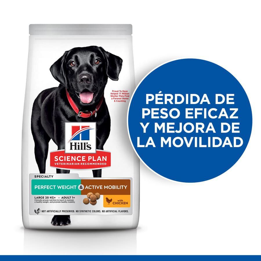 Hill&#039;s Science Plan Perfect weight y Active Mobility pollo pienso para perros grandes thumbnail