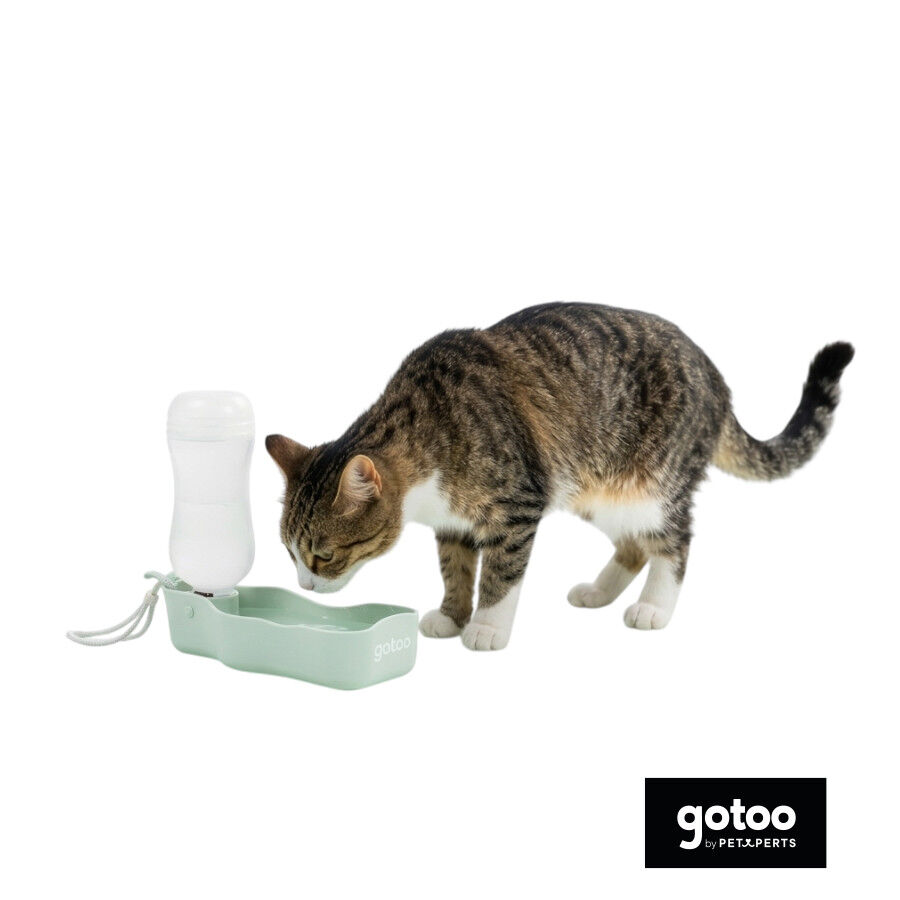 Gotoo Botella Bebedero Port&aacute;til de Pl&aacute;stico Verde para perros y gatos, , large Imagen numero 7