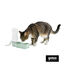 Gotoo Botella Bebedero Port&aacute;til de Pl&aacute;stico Verde para perros y gatos, , large indicador imagen numero 7