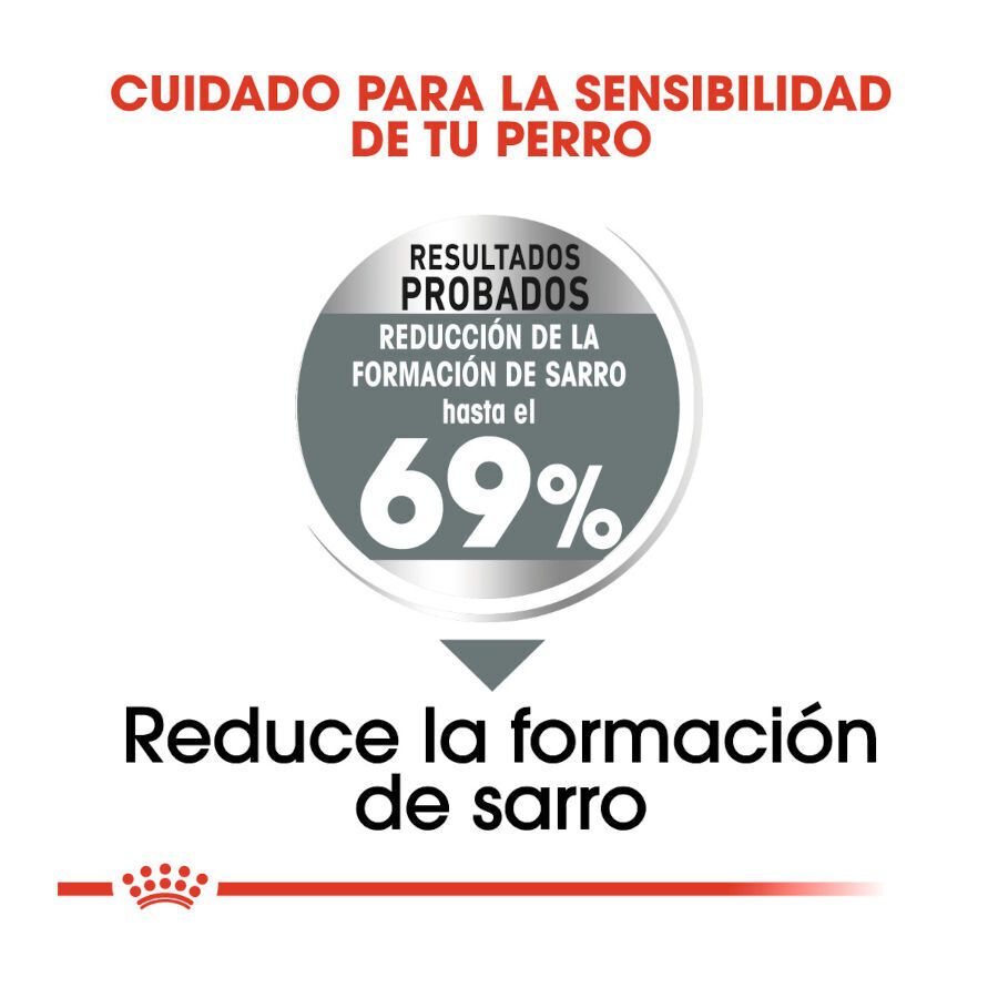 Royal Canin Dental Care Mini  pienso para perros thumbnail