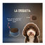 10 kg Lenda Grain Free Salm&oacute;n pienso para perros, , large indicador imagen numero 4