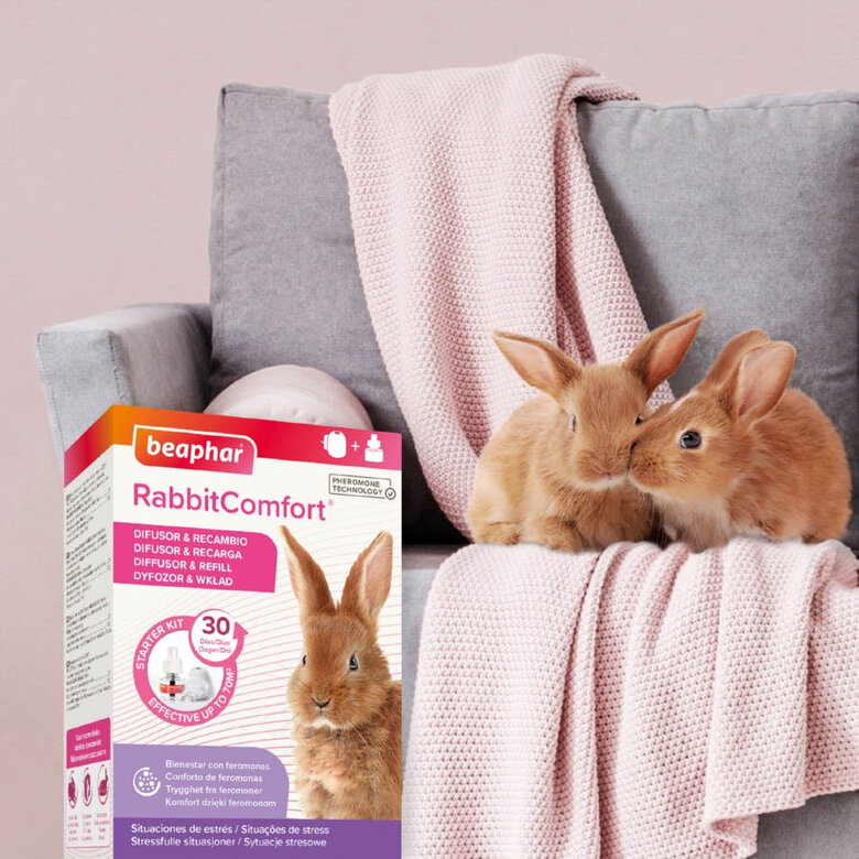 Beaphar RabbitComfort Difusor y Recambio para conejos, , large image number null