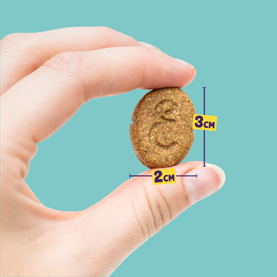 400 g Edgard & Cooper Galletas Festive de Pavo y Pato snack para perros, , large Imagen numero 3