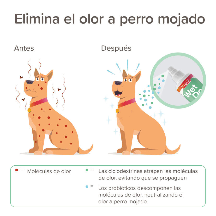 Beaphar Wet dog spray antiolor para perros, , large Imagen numero 4