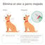 Beaphar Wet dog spray antiolor para perros, , large indicador imagen numero 4