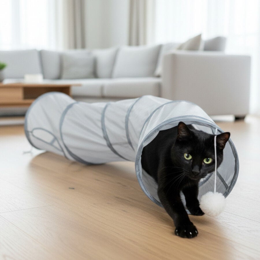 Tootoy! Tunel de Tela con Juguete para gatos