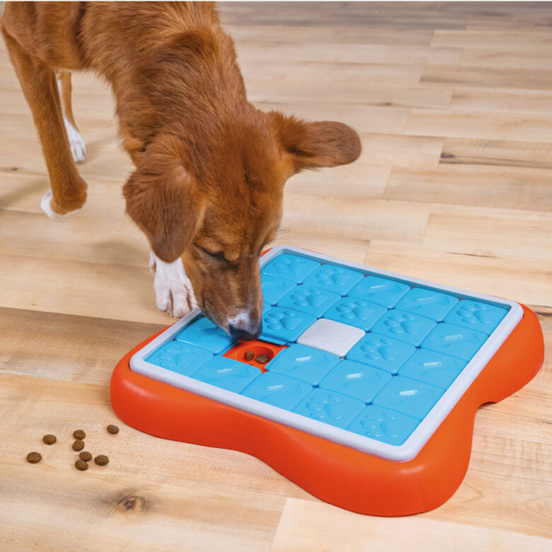 Outward Hound Challenge Slider Rompecabezas de Inteligencia para cachorros,  Imagen numero 2 Outward Hound Challenge Slider Rompecabezas de Inteligencia para cachorros, , large Imagen numero 2