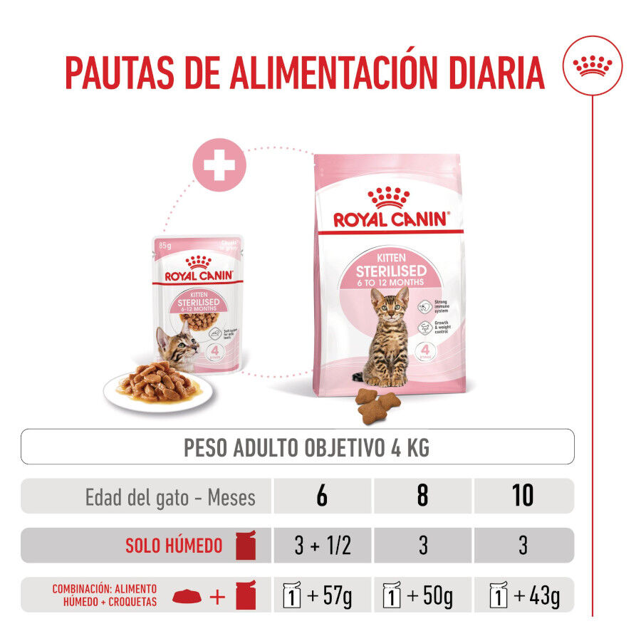 Royal Canin Kitten Sterilised salsa sobre para gatos thumbnail