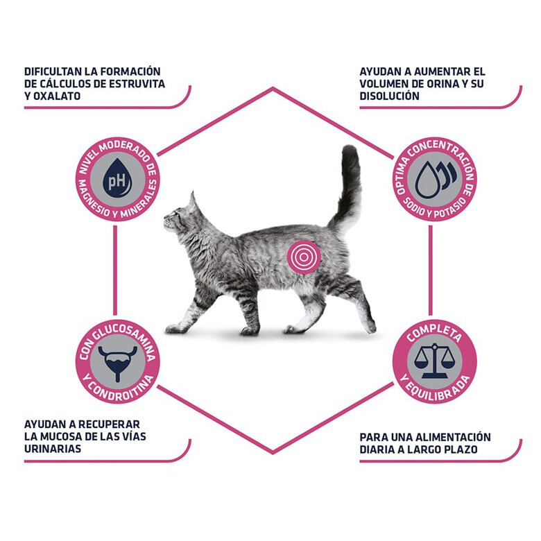 Affinity Advance Veterinary Diets Urinary pienso para gatos, , large image number null