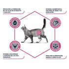 Affinity Advance Veterinary Diets Urinary pienso para gatos, , large image number null