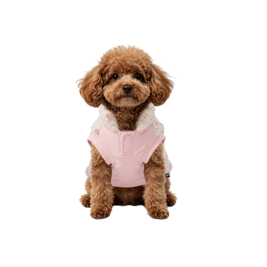 Gotoo Jersey Estampado Estrellas para perros, , large Imagen numero 7