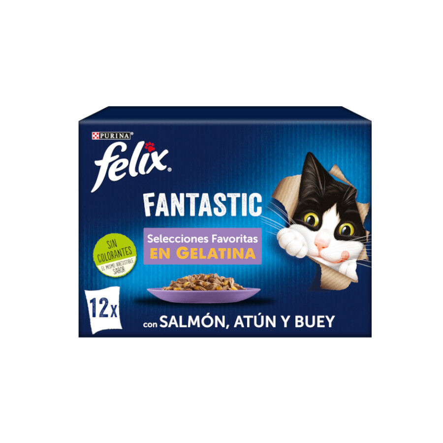 12 sobres x 85 g Felix Fantastic Selecciones Favoritas sobres en gelatina , , large Imagen numero 1