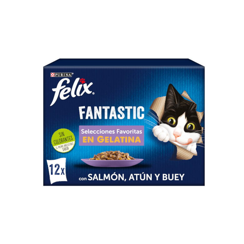 12 sobres x 85 g Felix Fantastic Selecciones Favoritas sobres en gelatina ,  Imagen numero 1 12 sobres x 85 g Felix Fantastic Selecciones Favoritas sobres en gelatina , , large Imagen numero 1