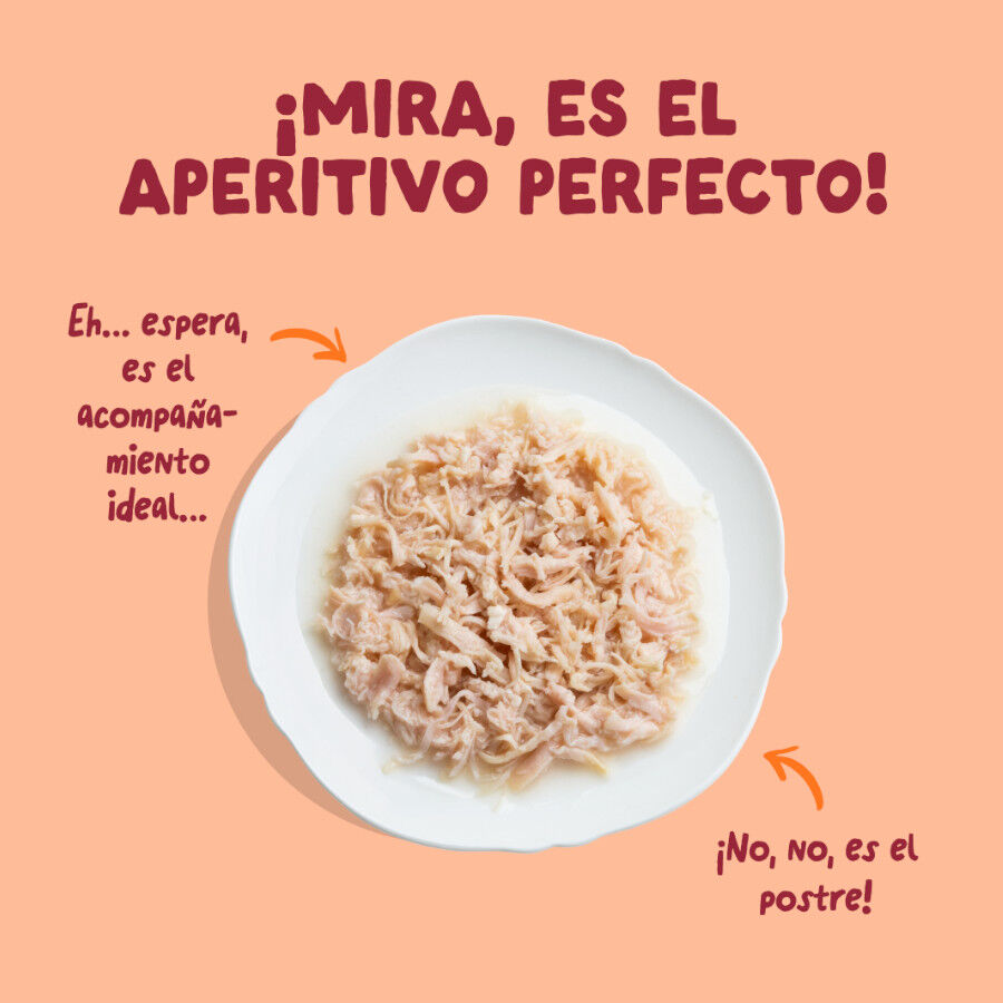 70 g Edgard & Cooper Filetes de Pollo Lata para gatos, , large Imagen numero 3