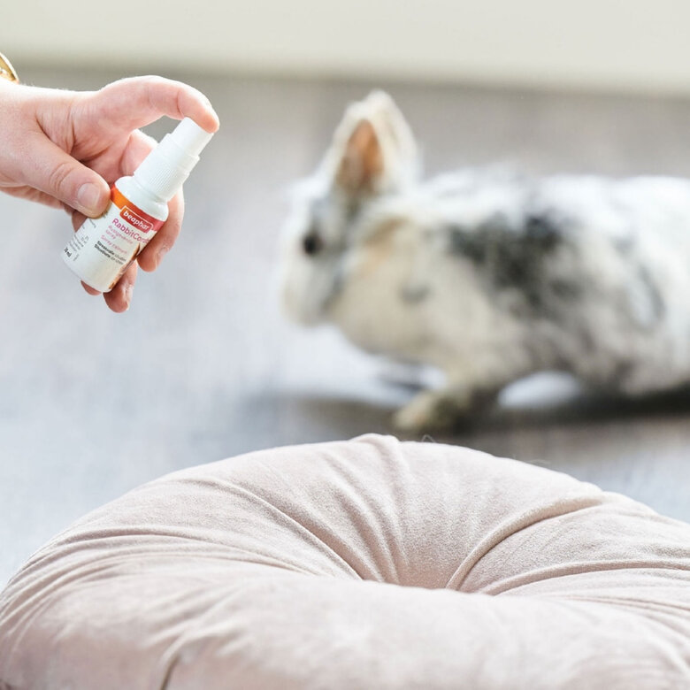 Beaphar RabbitComfort Spray Tranquilizante para conejos, , large image number null