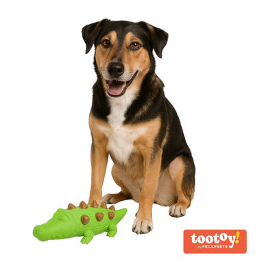 Tootoy! Chew Croco Treat mordedor portasnacks para perros