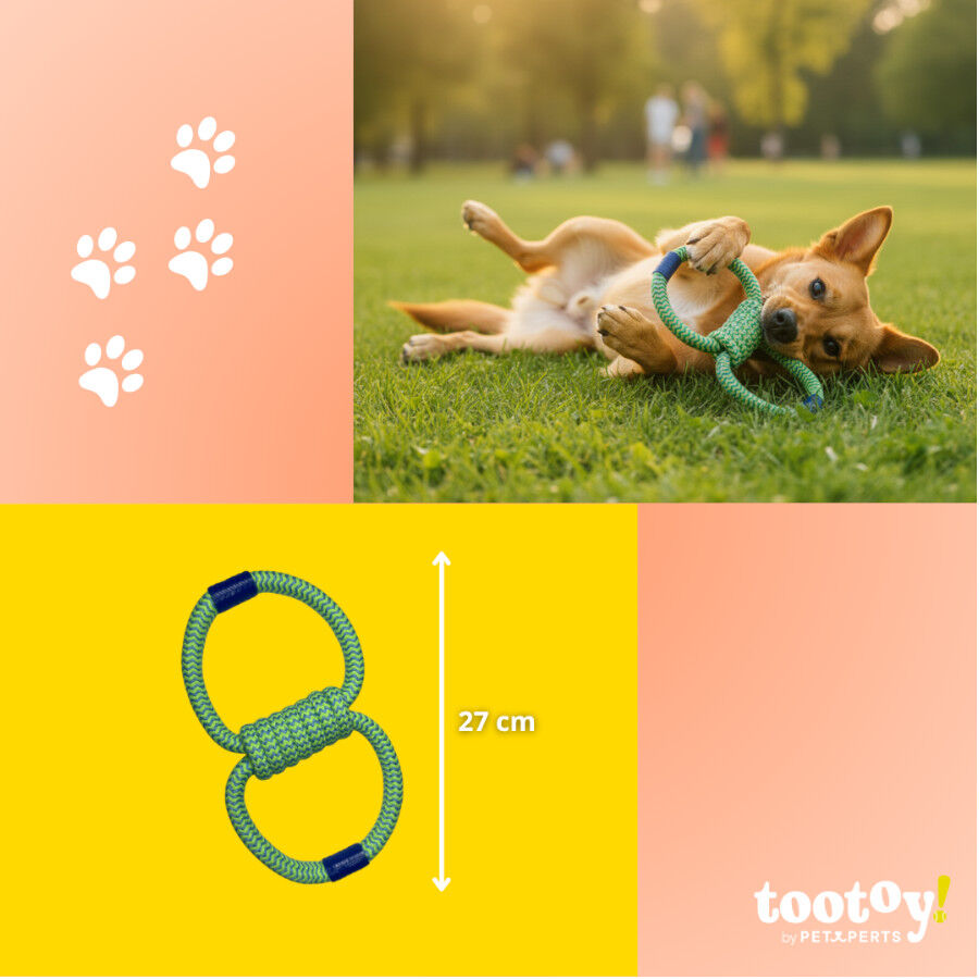 Tootoy! Mordedor de Cuerda Doble para perros thumbnail
