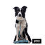 Gotoo Correa reflectante de malla turquesa para perro, , large indicador imagen numero 3