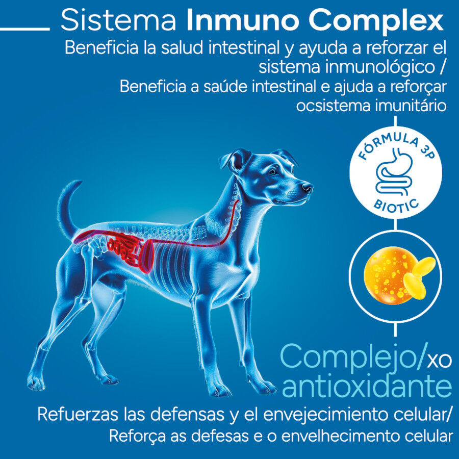 3 kg Criadores Cient&iacute;fico Senior Pienso para perros de razas mini, , large Imagen numero 3