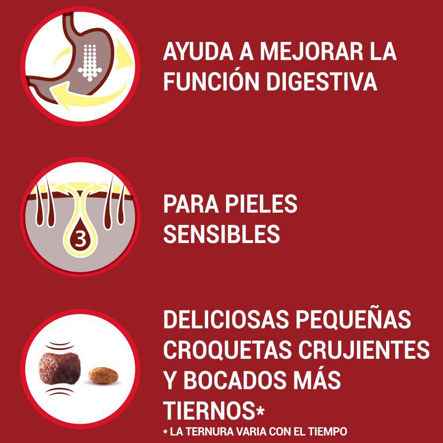 Purina One Adult Mini Bifensis Sensitive Salmón y Arroz pienso para perros thumbnail