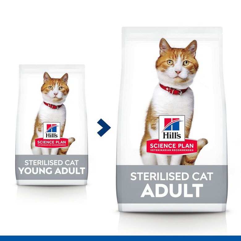 Hill's Science Plan Sterilised Adult Pollo pienso para gatos, , large image number null