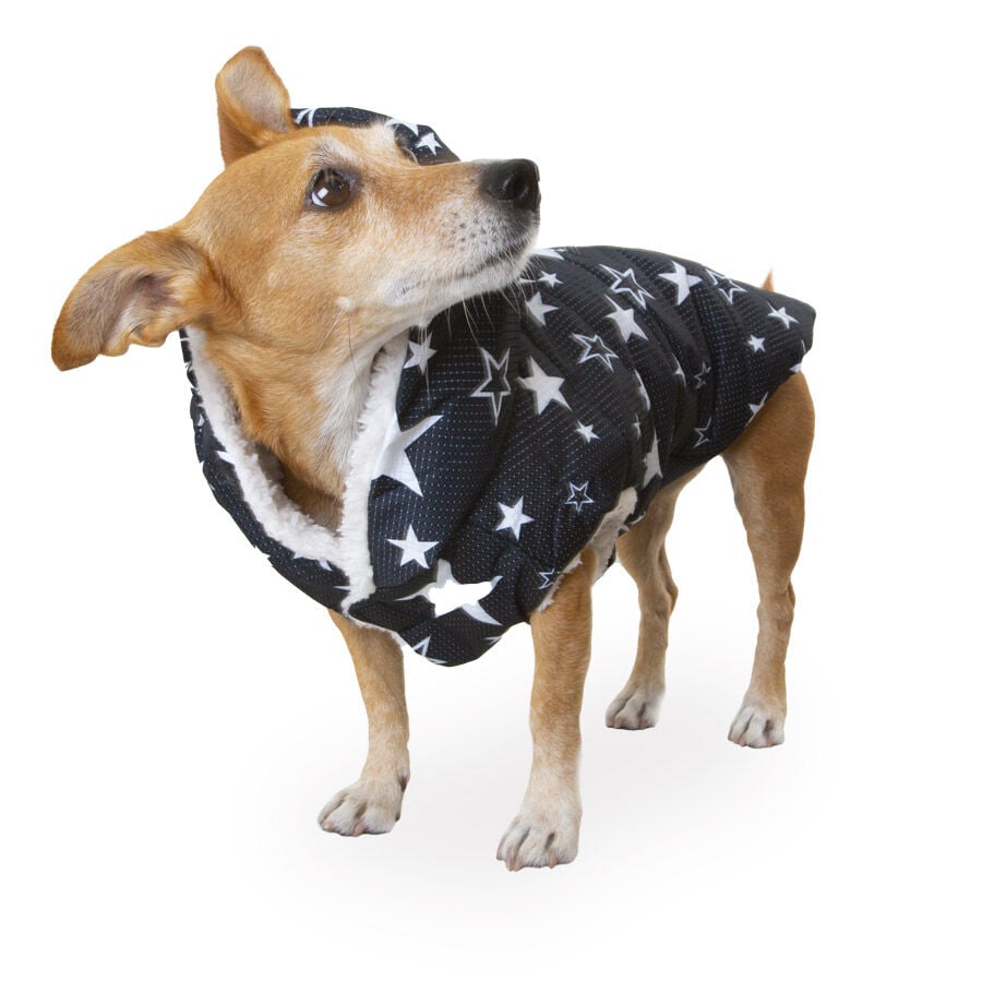 Outech Chubasquero de estrellas con borreguito para perros, , large Imagen numero 1