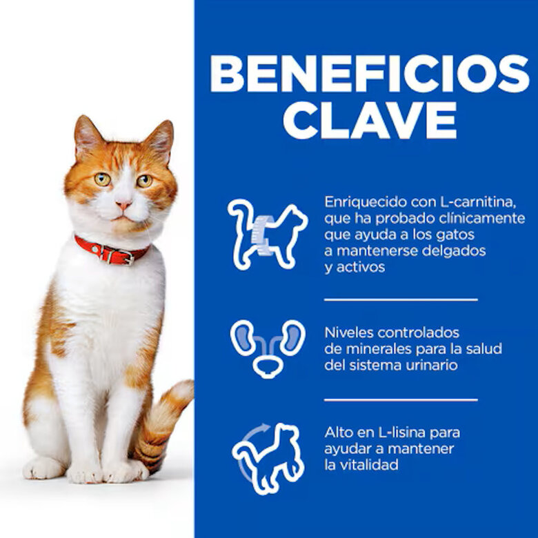 7 kg Hill's Science Plan Sterilised Adult Salmón pienso para gatos,  Imagen numero 4 7 kg Hill's Science Plan Sterilised Adult Salmón pienso para gatos, , large Imagen numero 4