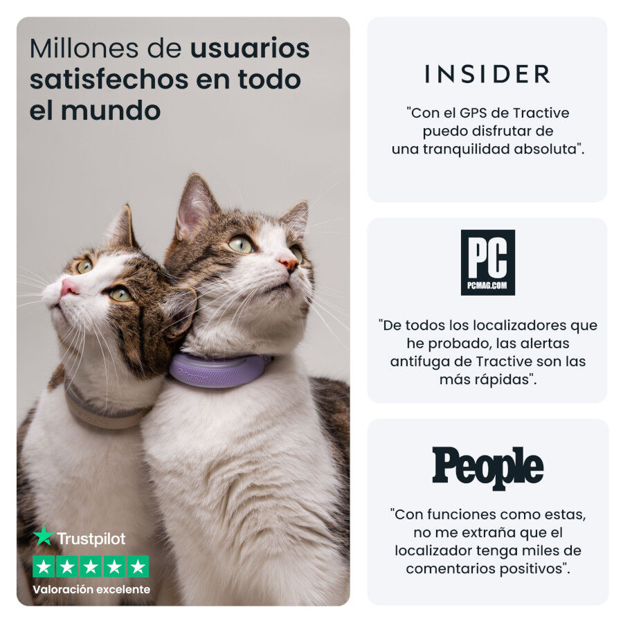 Tractive Cat 6 Mini Negro GPS para gatos, , large Imagen numero 9