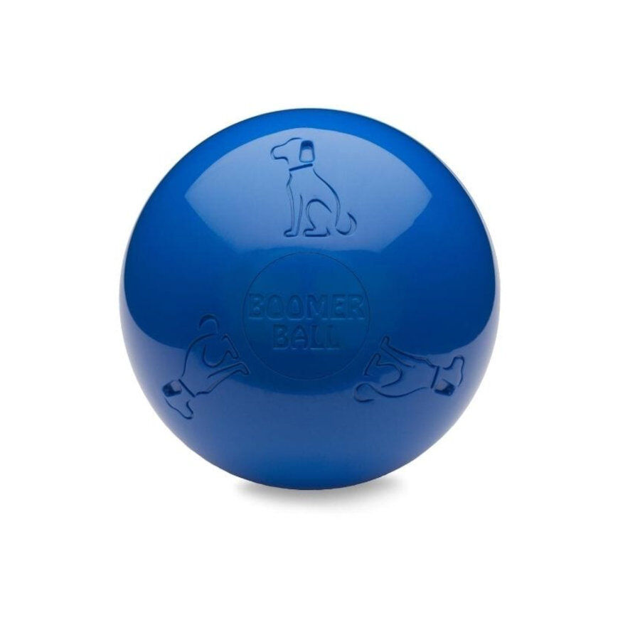 Coachi Boomer Ball pelota gigante para perros, , large Imagen numero 1