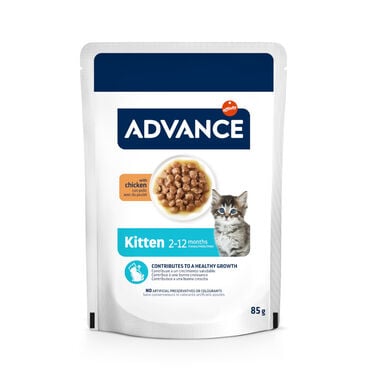 Advance Kitten Pollo en salsa sobre para gatitos