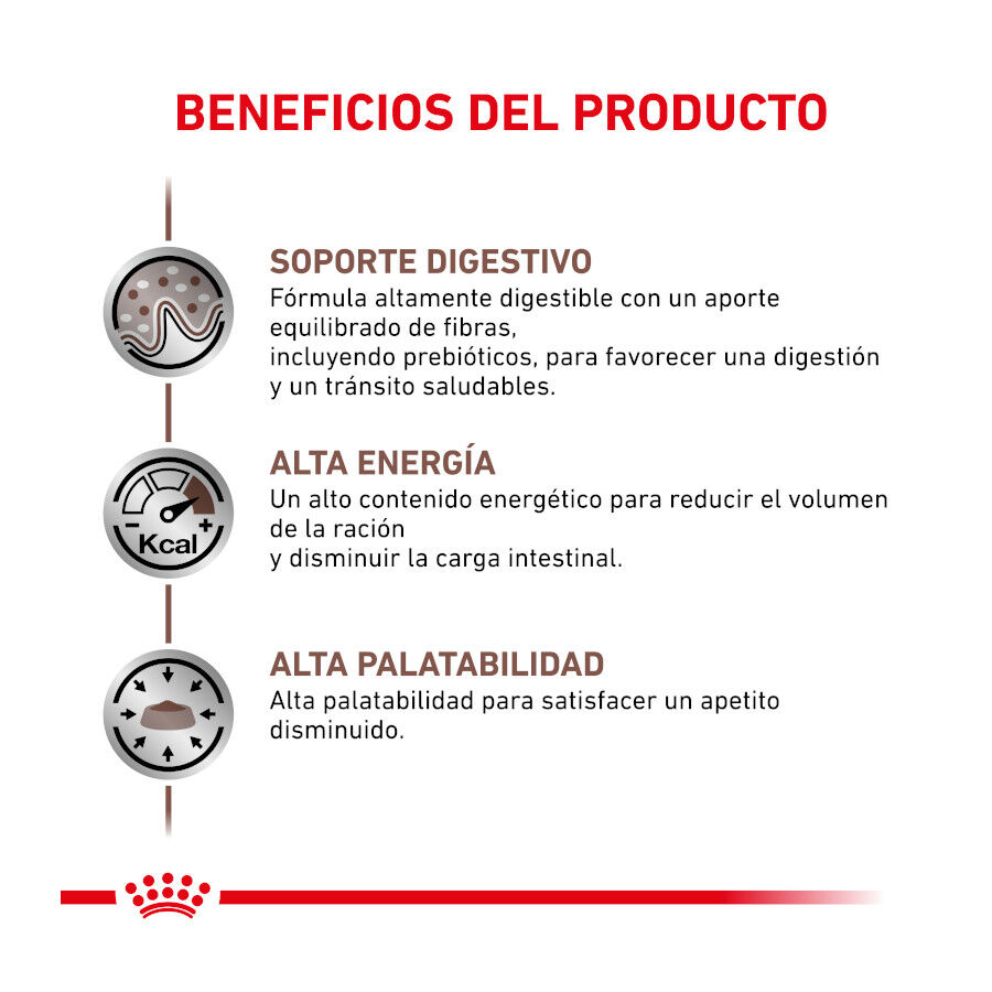 Royal Canin Veterinary Gastrointestinal pienso para gatos thumbnail