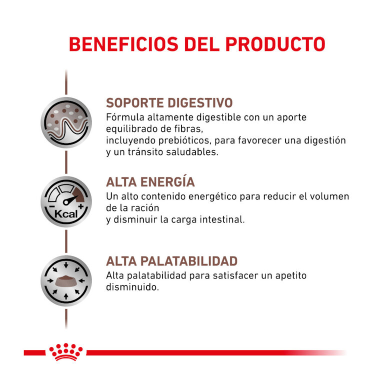 Royal Canin Veterinary Gastrointestinal pienso para gatos, , large image number null