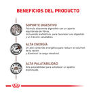 Royal Canin Veterinary Gastrointestinal pienso para gatos, , large image number null