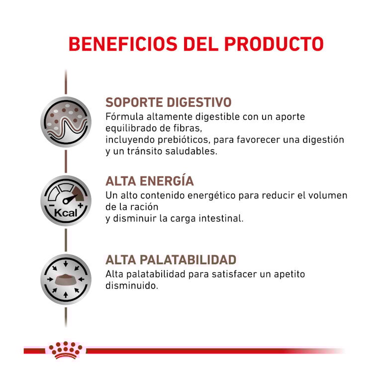 4 kg Royal Canin Veterinary Gastrointestinal pienso para gatos,  Imagen numero 4 4 kg Royal Canin Veterinary Gastrointestinal pienso para gatos, , large Imagen numero 4