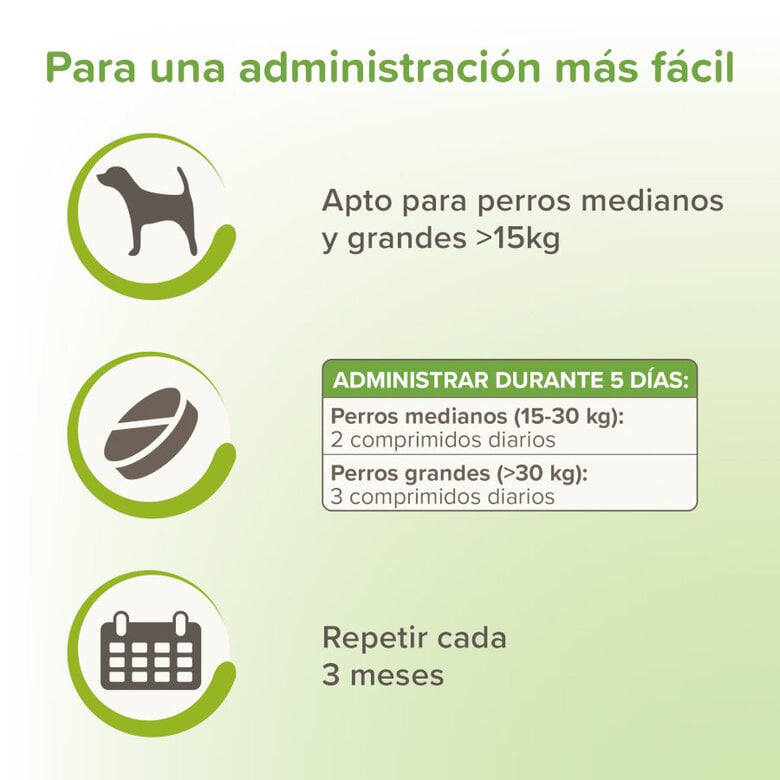 Beaphar Vermipure Repelente Interno Natural en comprimidos para perros medianos y grandes,  Imagen numero 4 Beaphar Vermipure Repelente Interno Natural en comprimidos para perros medianos y grandes, , large Imagen numero 4