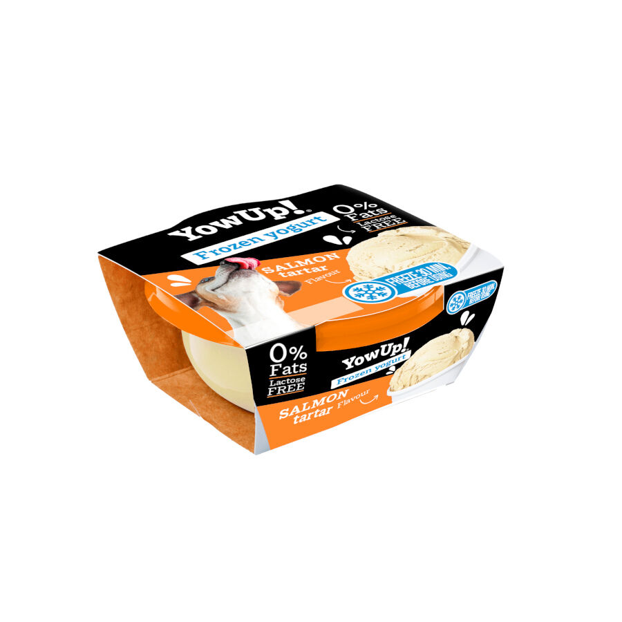 6 tarrinas x 110 g YowUp! Yogur Helado Natural Tartar De Salm&oacute;n Para Perros y gatos &iexcl;Pack Ahorro!, , large Imagen numero 2