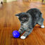 Kong Bola Dispensadora de Premios para gatos, , large indicador imagen numero 2