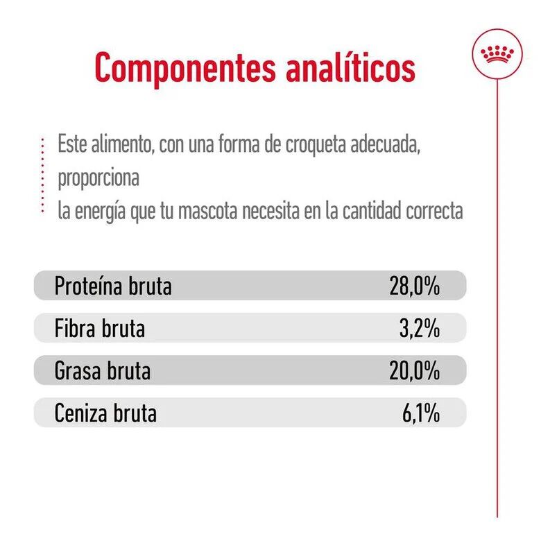 Royal Canin Giant Adult pienso para perros thumbnail