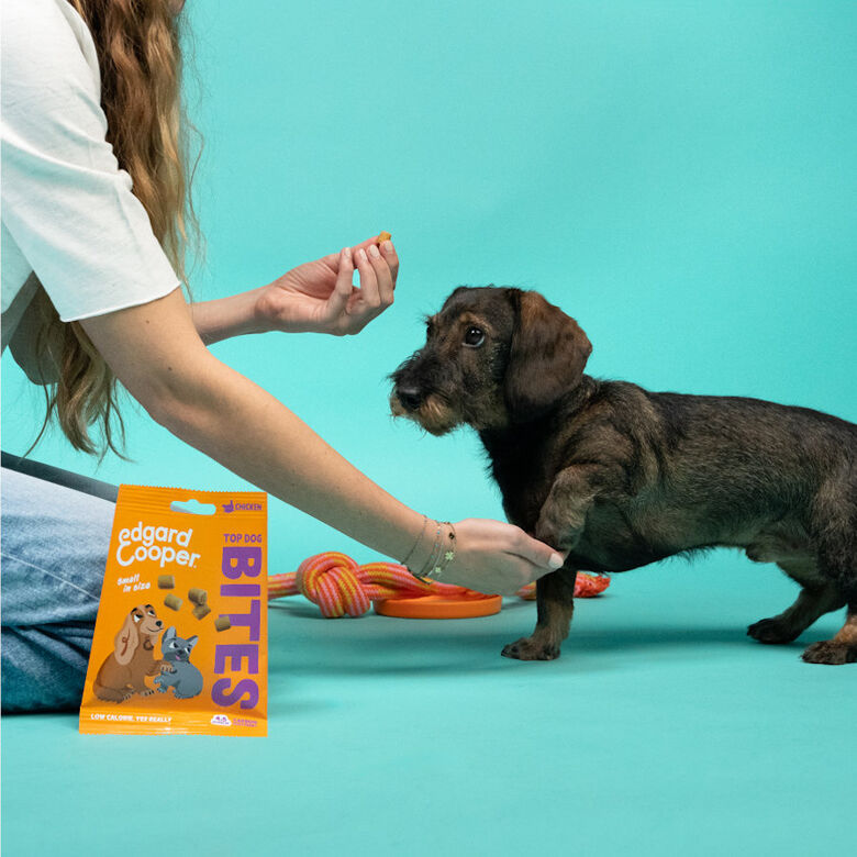 Edgard &amp; Cooper Bocaditos Mini de Pollo para perros thumbnail