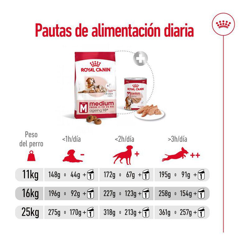 Royal Canin Medium 10+ Ageing pienso para perros thumbnail