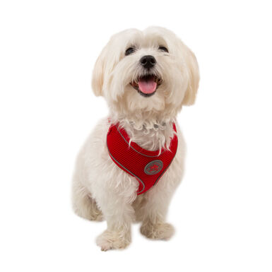 TK-Pet Soft Arnés Reflectante Rojo para perros  