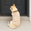 Outech Jersey Leopardo para perros, , large indicador imagen numero 1