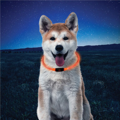 Nite Ize NiteHowl Collar de Seguridad Led Naranja para perros