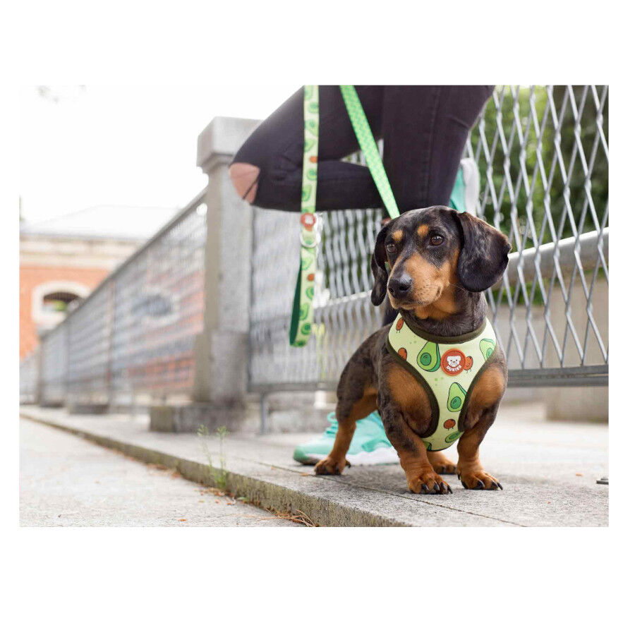 Dukier Avocado Arnés Reversible Estampado Aguacate para perros thumbnail