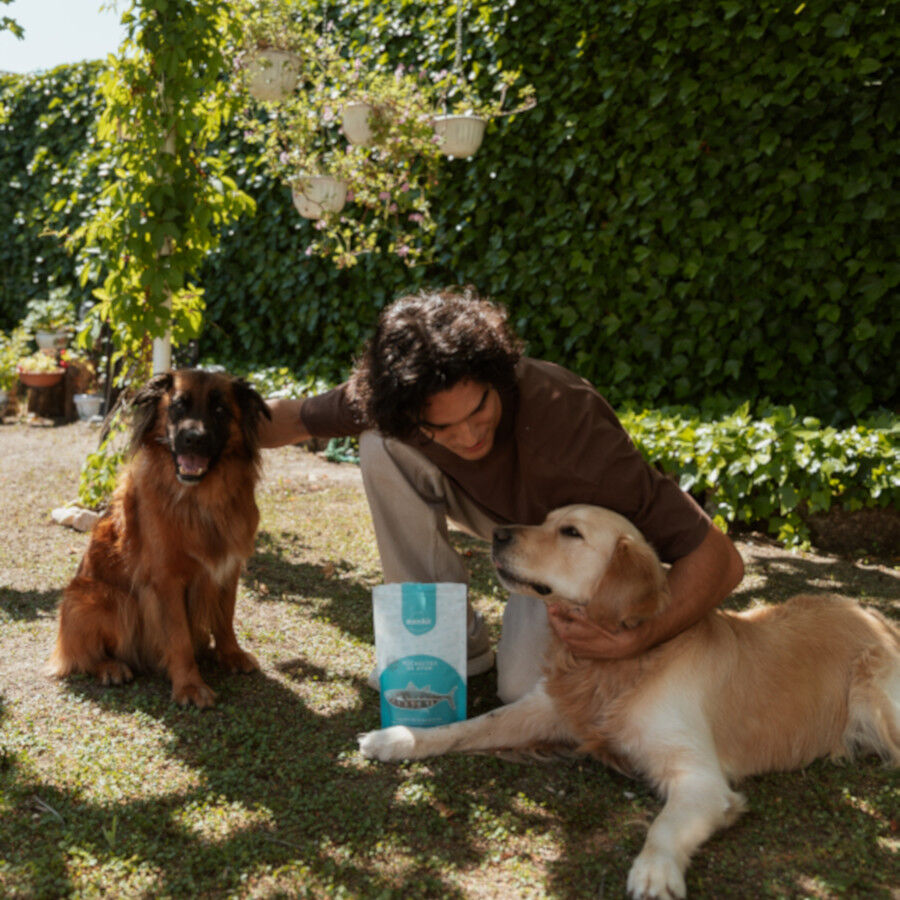 80 g Natuka Bocaditos At&uacute;n Snack Natural para perros y gatos, , large Imagen numero 2