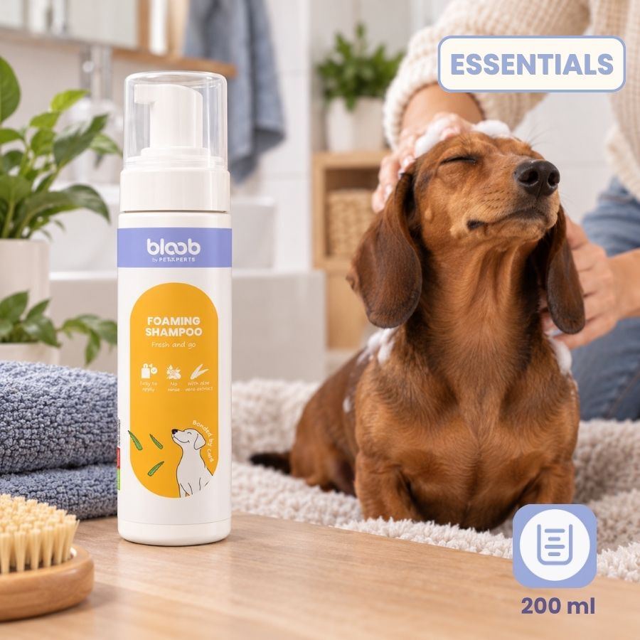 Bloob Champ&uacute; Seco en Espuma para perros, , large Imagen numero 7